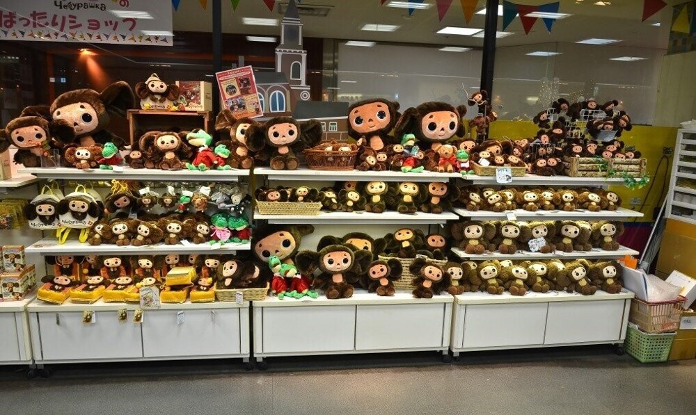 «Я в шоке от нашей Думы»: бывшая жена Успенского назвала бредом предположение депутата о национальности Чебурашки