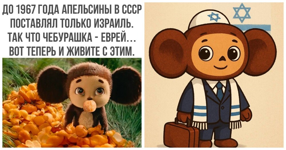 «Я в шоке от нашей Думы»: бывшая жена Успенского назвала бредом предположение депутата о национальности Чебурашки