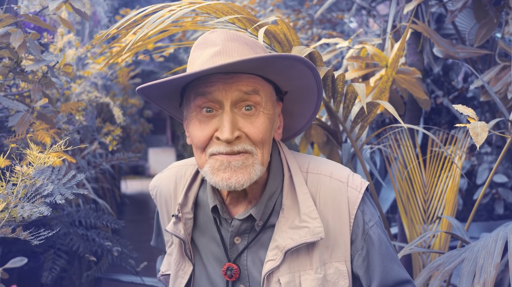 Что Дроздов говорил за кадром «В мире животных» и почему это вырезали?