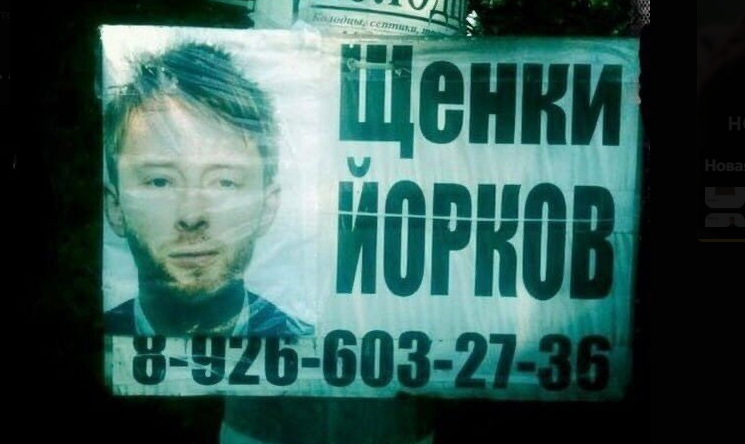 9. Том Йорк и щенки