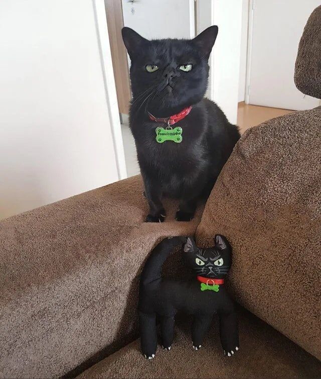 8. Кажется, модель не в восторге