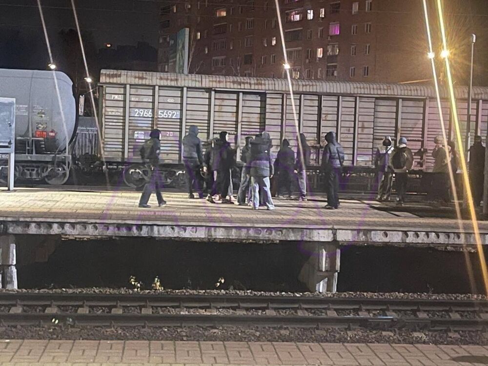 В Подмосковье банда подростков разгромила электричку и ранила помощника машиниста