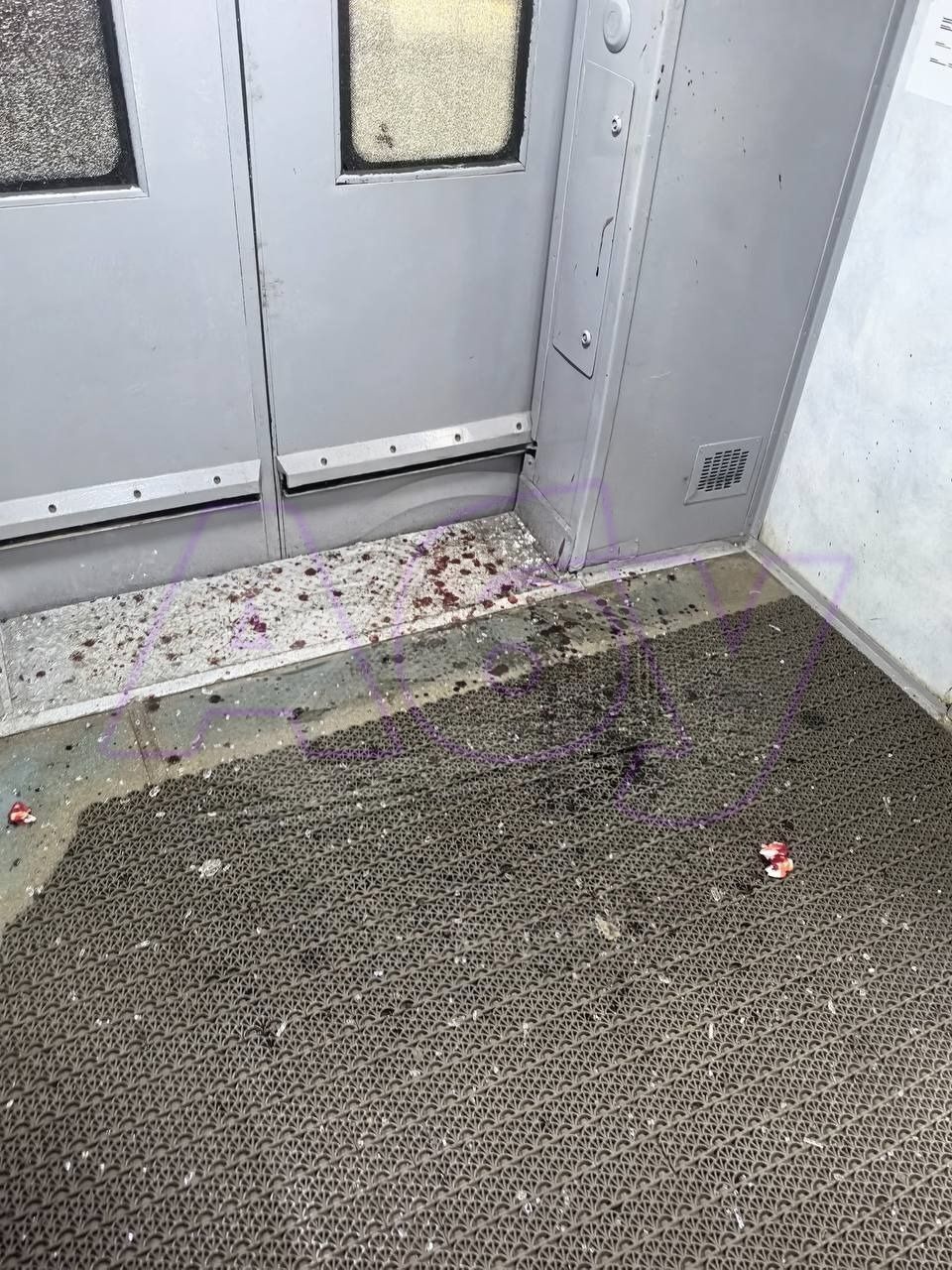 В Подмосковье банда подростков разгромила электричку и ранила помощника машиниста