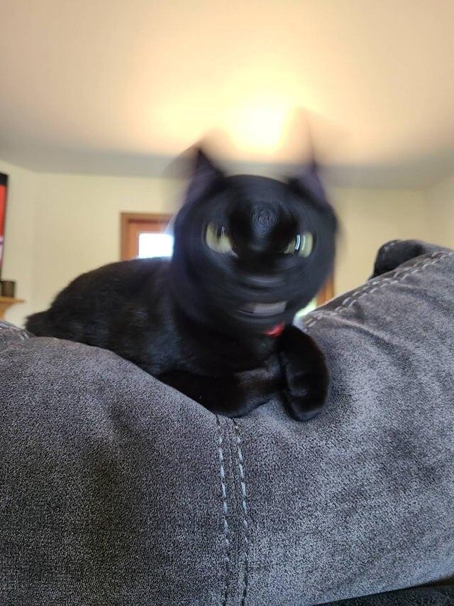 9. Ночная фурия!