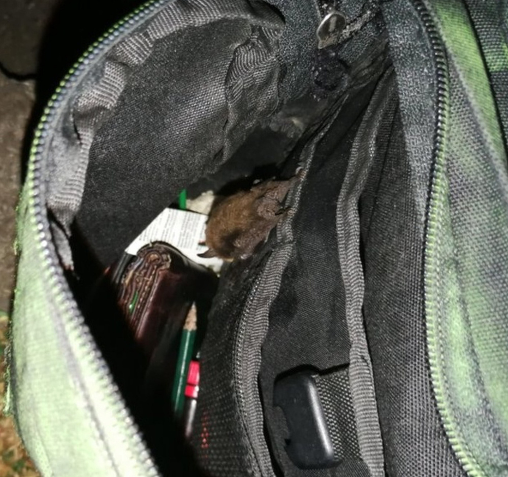 17 несчастных людей, которым сегодня не повезло