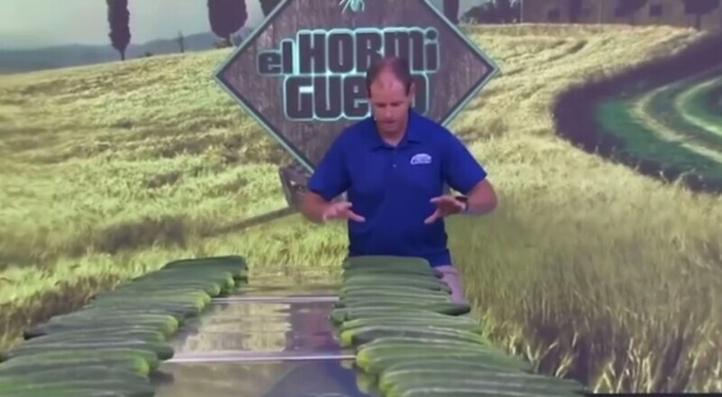 Американец установил странный рекорд