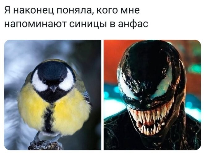 Смешные картинки