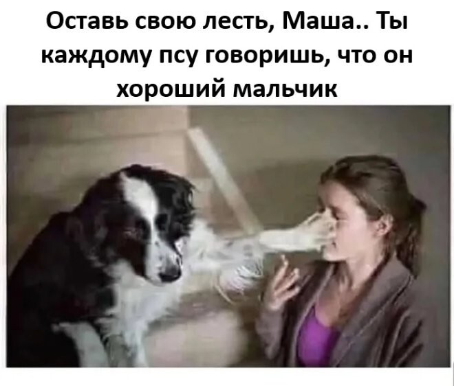 Смешные картинки