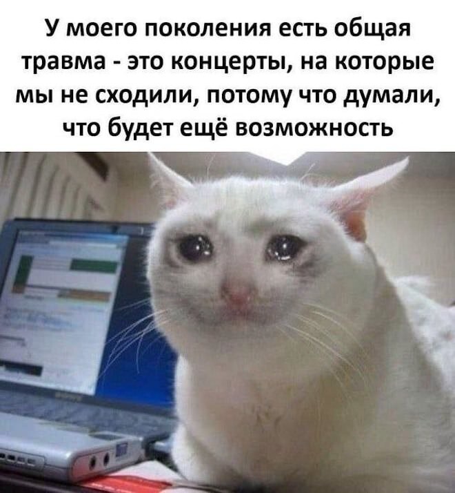 Смешные картинки