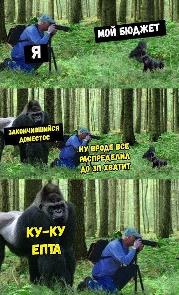 Смешные картинки