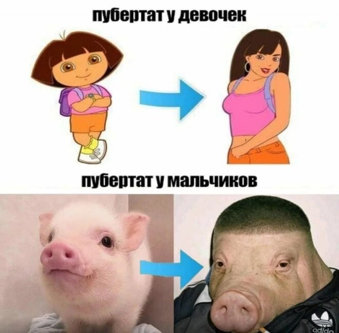 Смешные картинки