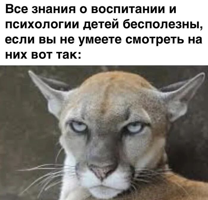 Смешные картинки