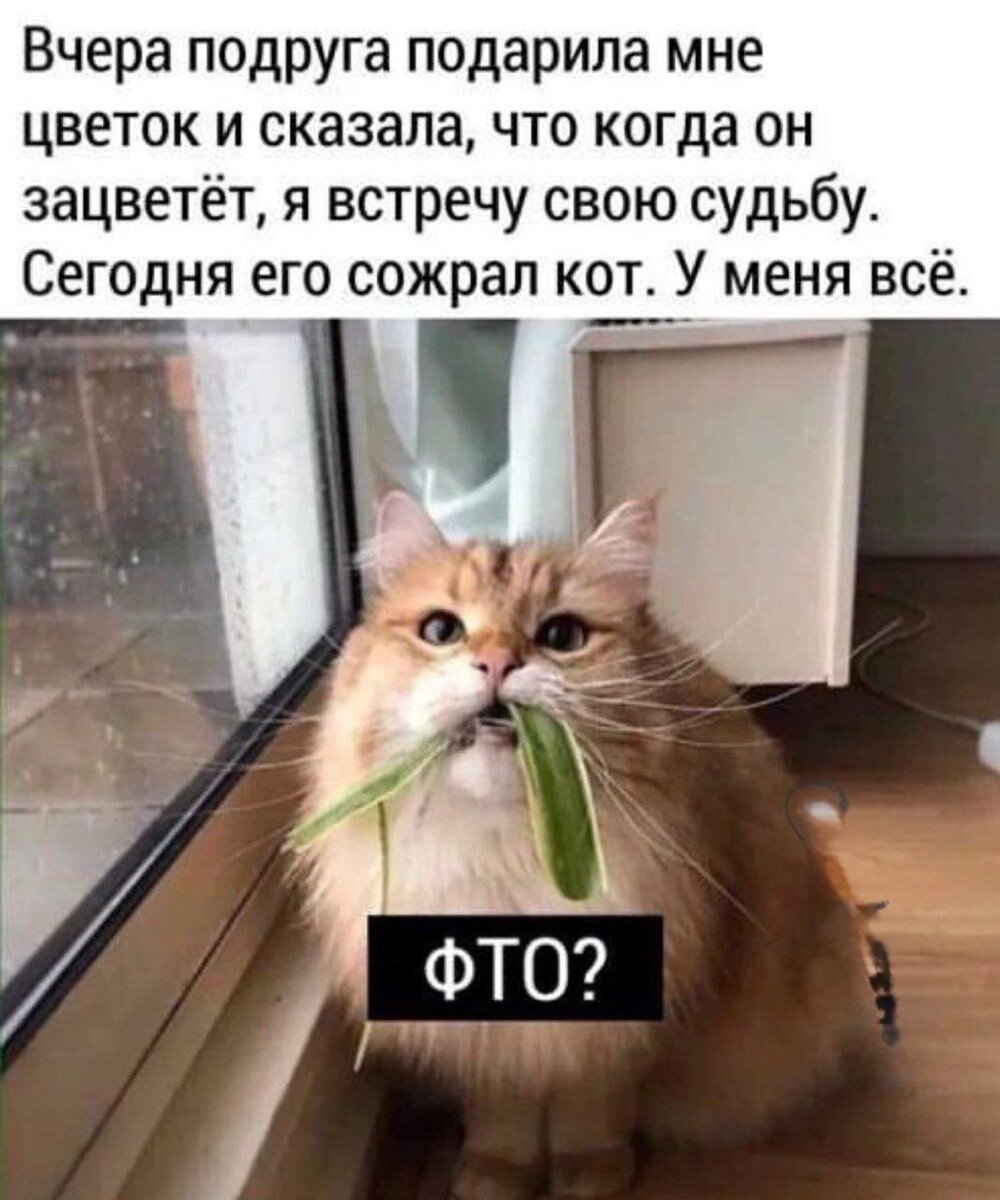 Смешные картинки