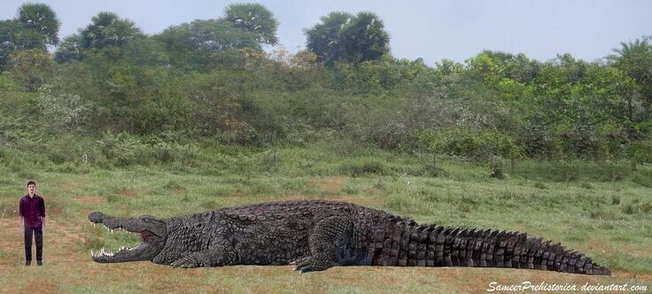 Дейнозух: Пожиратель динозавров. Самый страшный крокодил в истории Земли