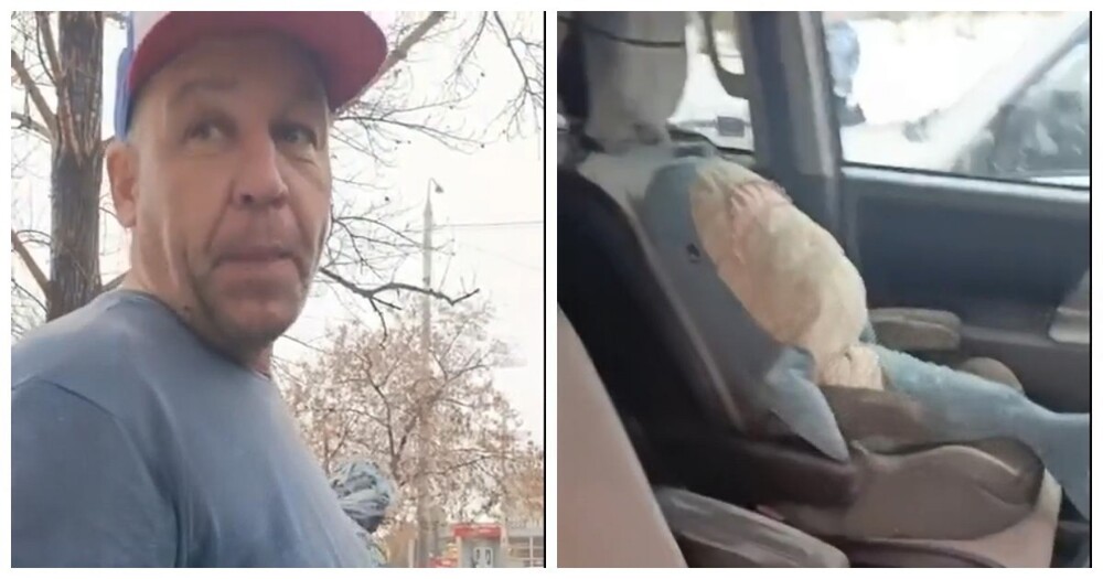 В Омске водитель устроил ДТП и показывал инспекторам «бабушку» из IKEA