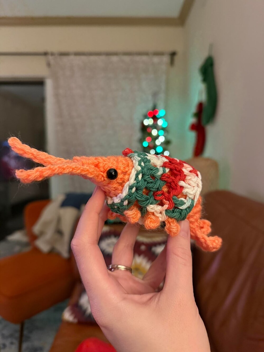 17. Все домочадцы получили эмоциональную поддержку — креветку в праздничном свитере