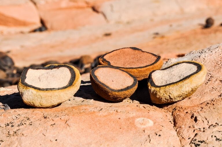 Загадка каменных ягод: от легенд хопи до марсианских тайн