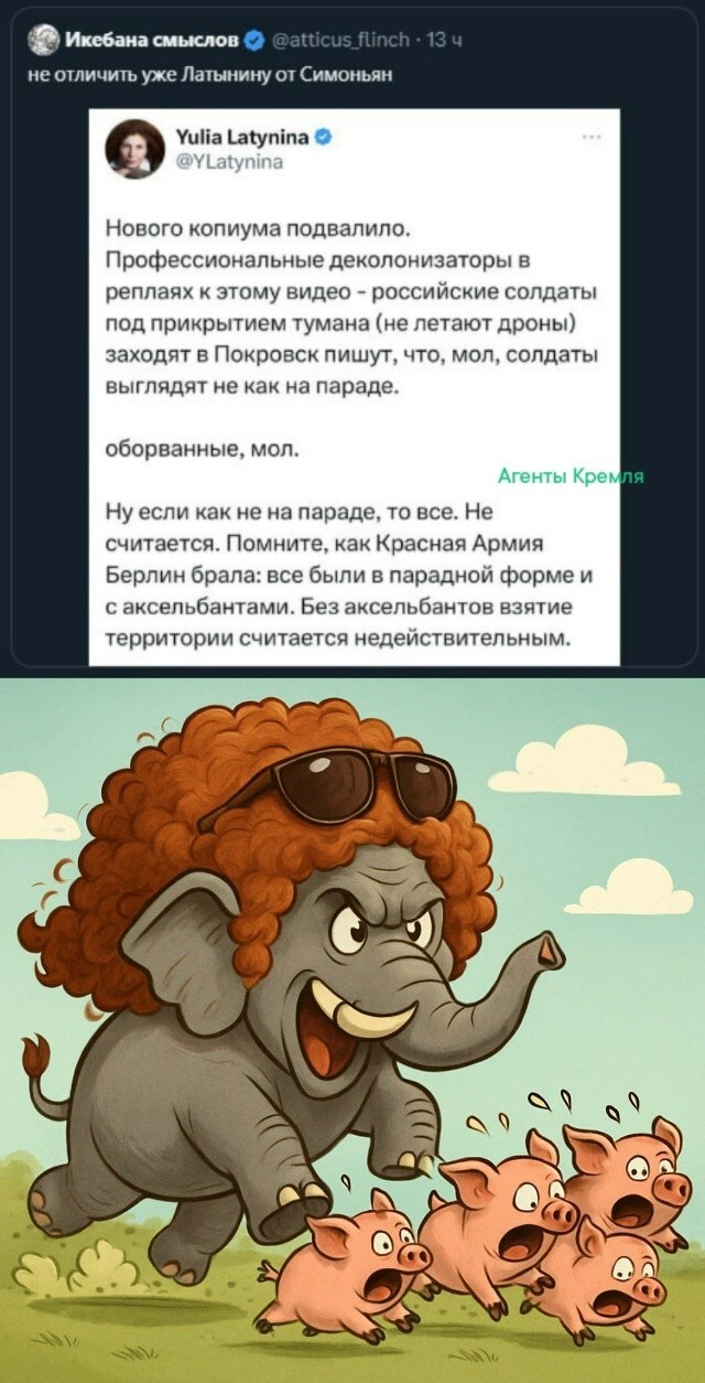 Погнала слоняра иноагентская чубатых