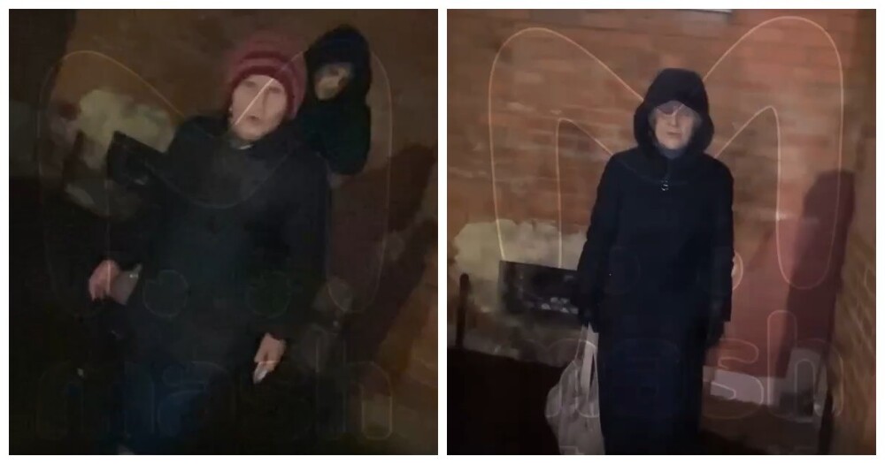 В Питере грозные бабушки напали на спасительницу уличных котят