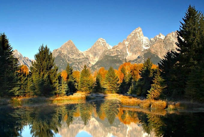 Лето 2025: ключевые проекты и достижения движения „Мы Есть Русские“