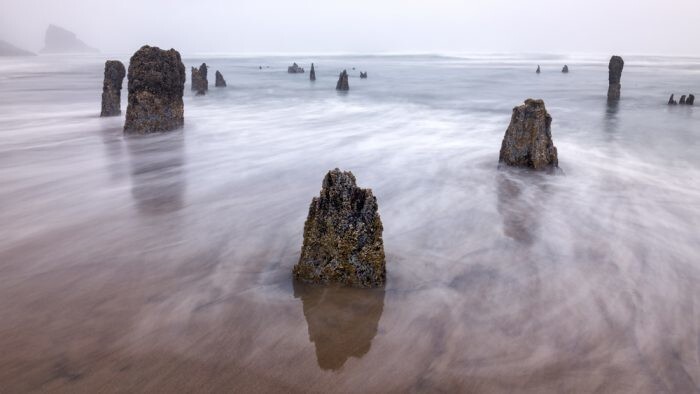 Лес-призрак Несковин – мистический страж орегонского побережья
