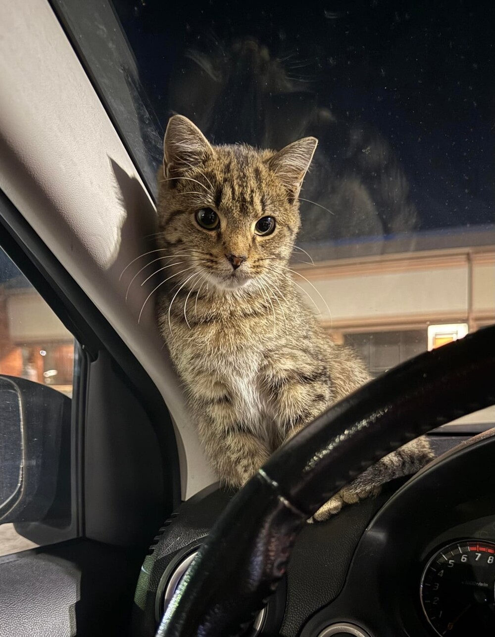 1. Готовиться к путешествиям