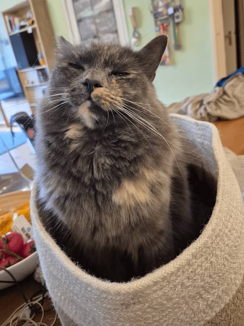 21. Создавать для себя особые мгновения