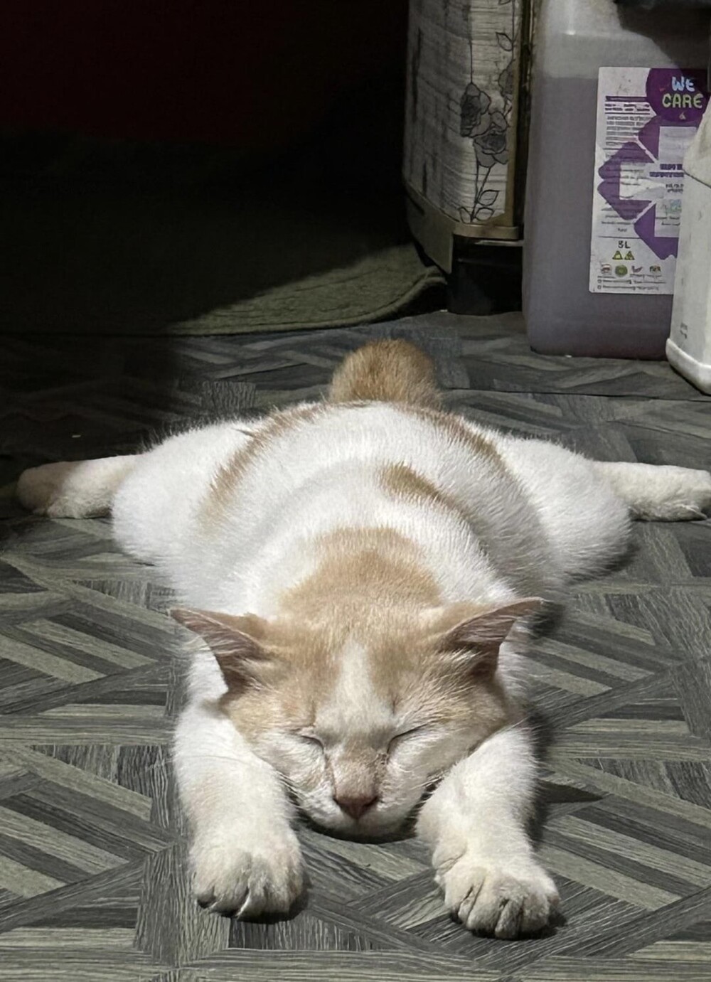 2. Тестировать свежую подборку сновидений