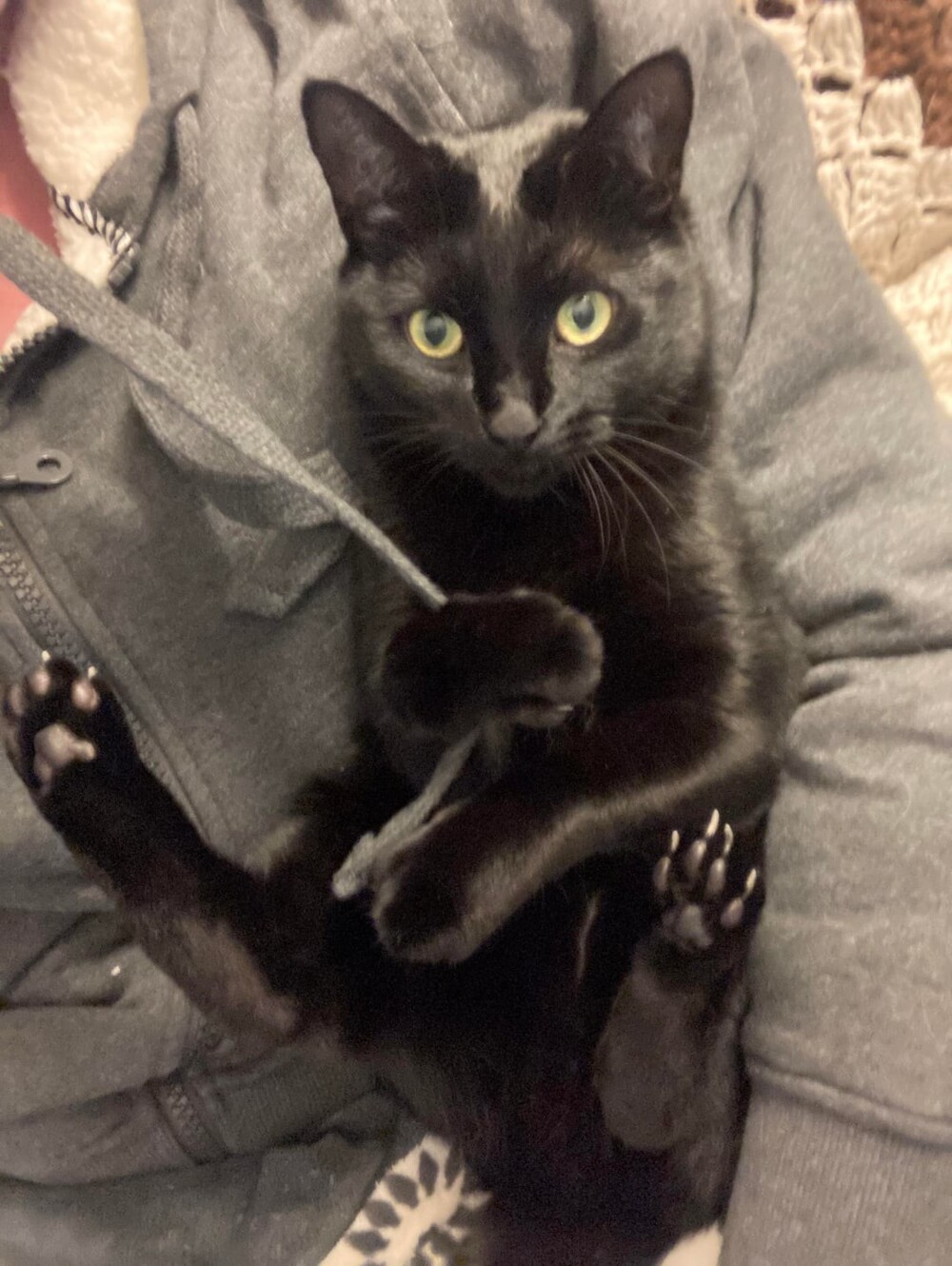 10. Держаться выбранного направления