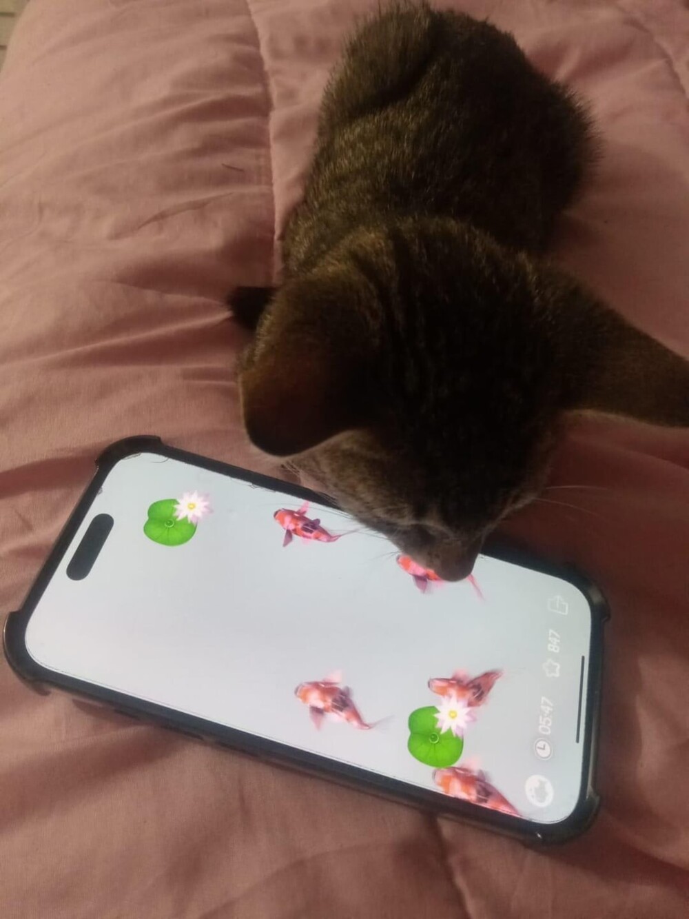 15. Осваивать последние технологии