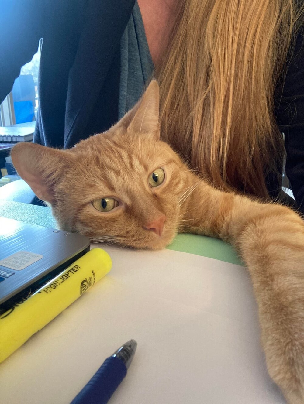 11. Размышлять о смыслах бытия