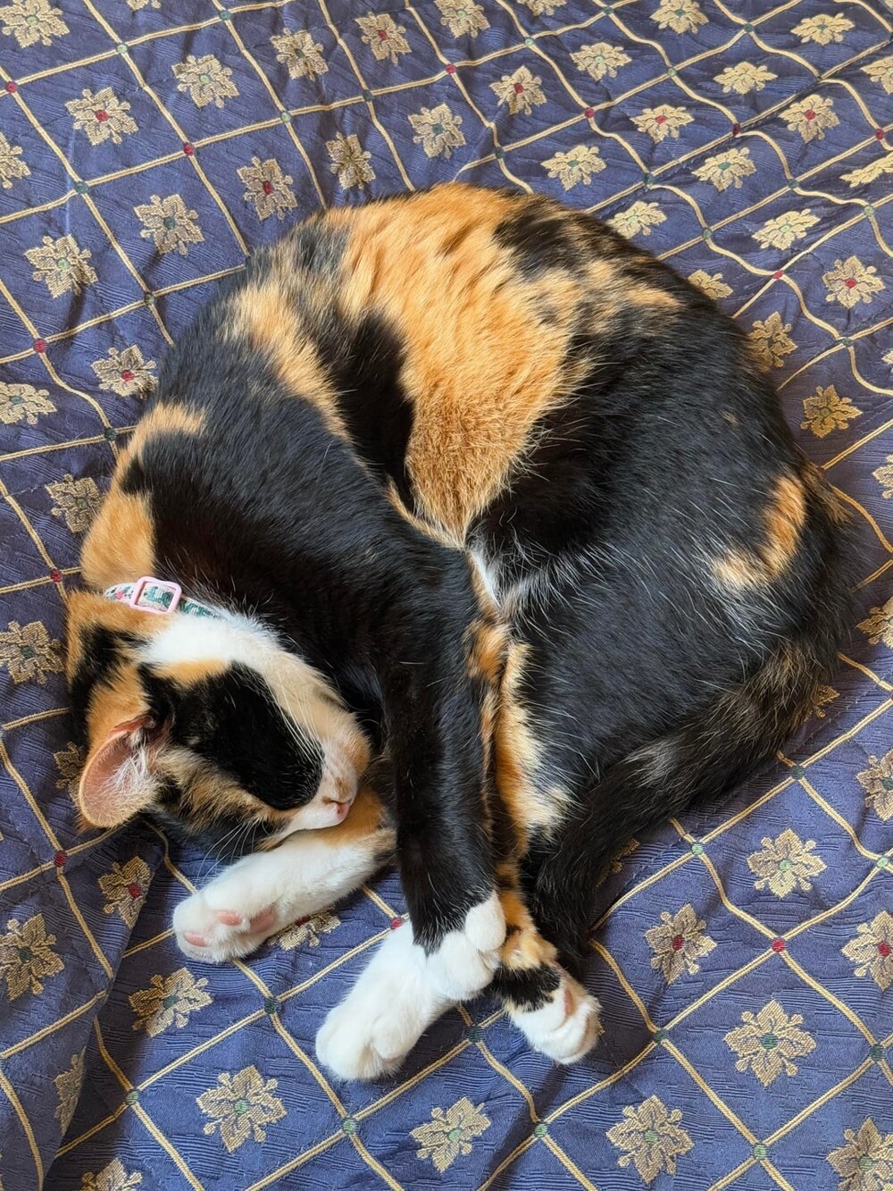 17. Тренироваться принимать форму снежка