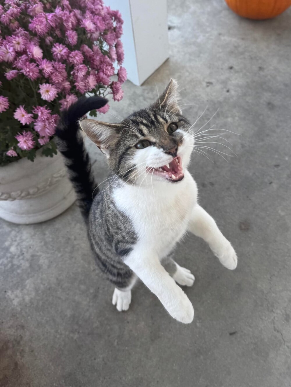 16. Громко распевать лирические песни