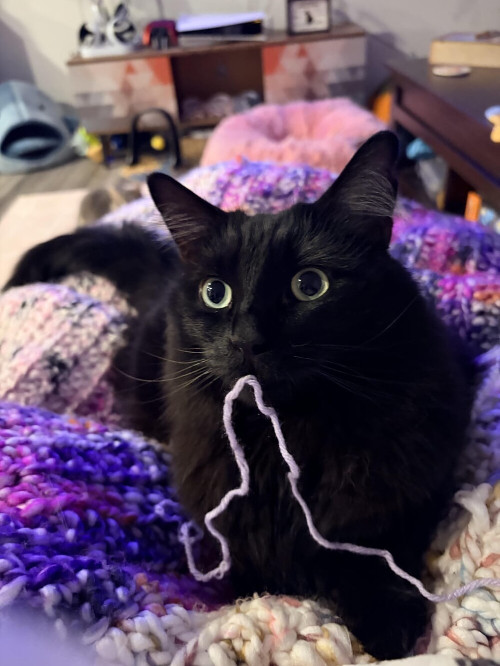 19. С удовольствием заниматься творчеством и рукоделием