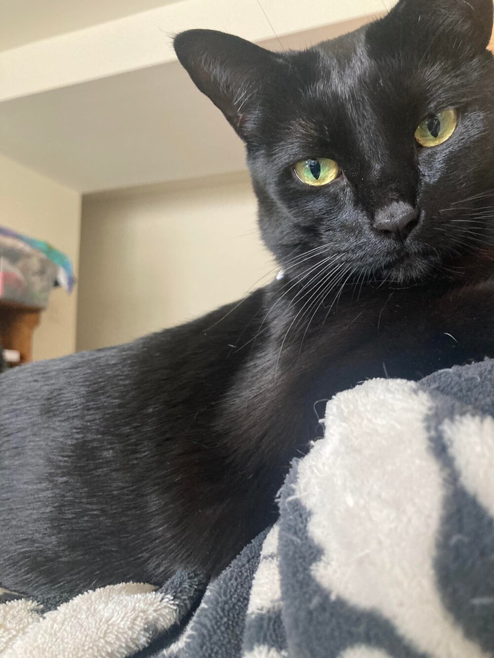 7. Проявлять лёгкое пренебрежение к своим кожаным