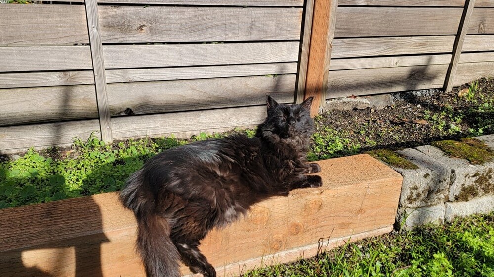 12. Кайфовать от редких периодов тепла