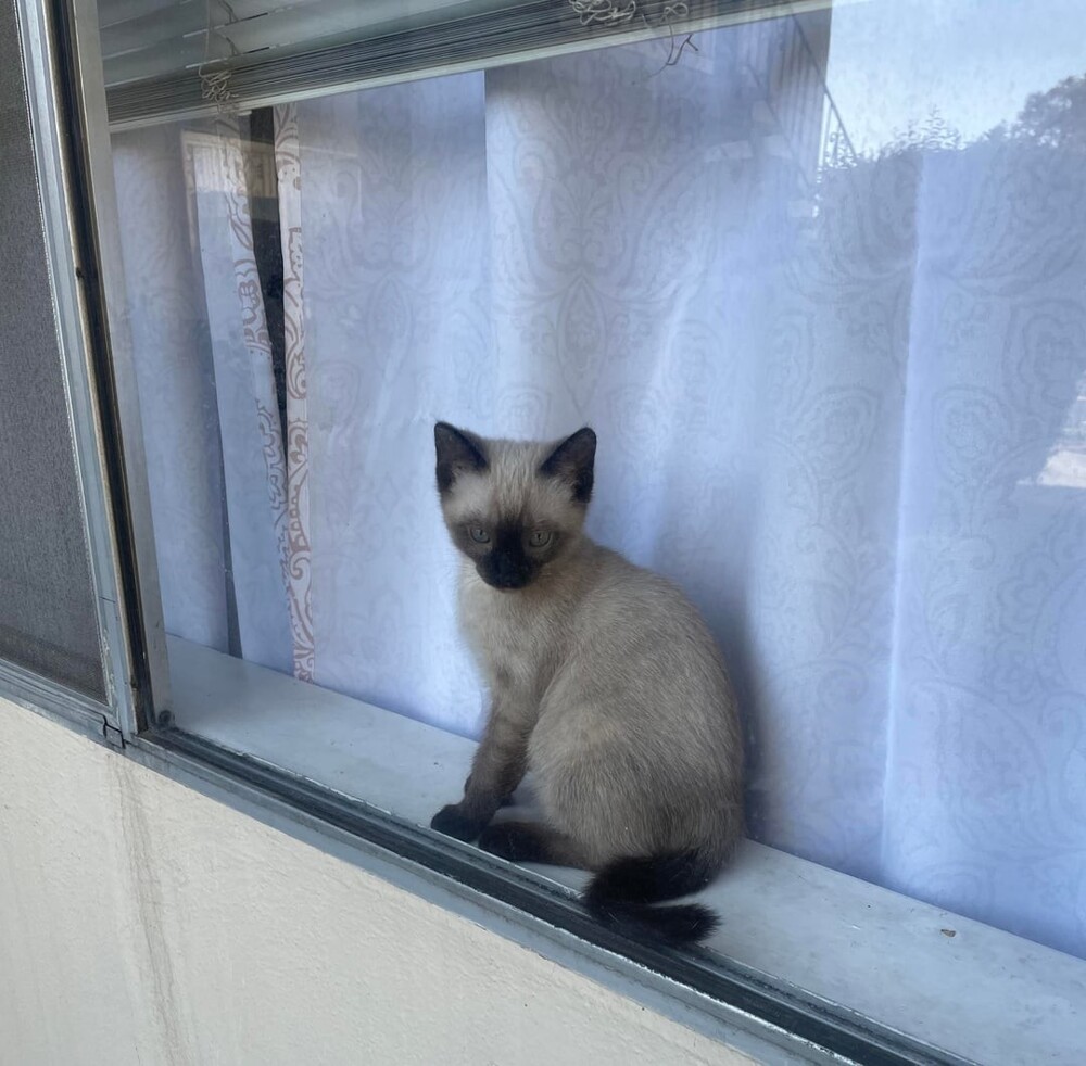 18. Ждать праздники, предвкушая чудеса