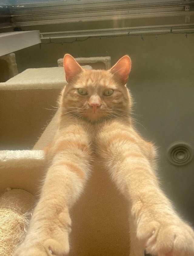 6. Демонстрировать миру, что ты находишься на его вершине