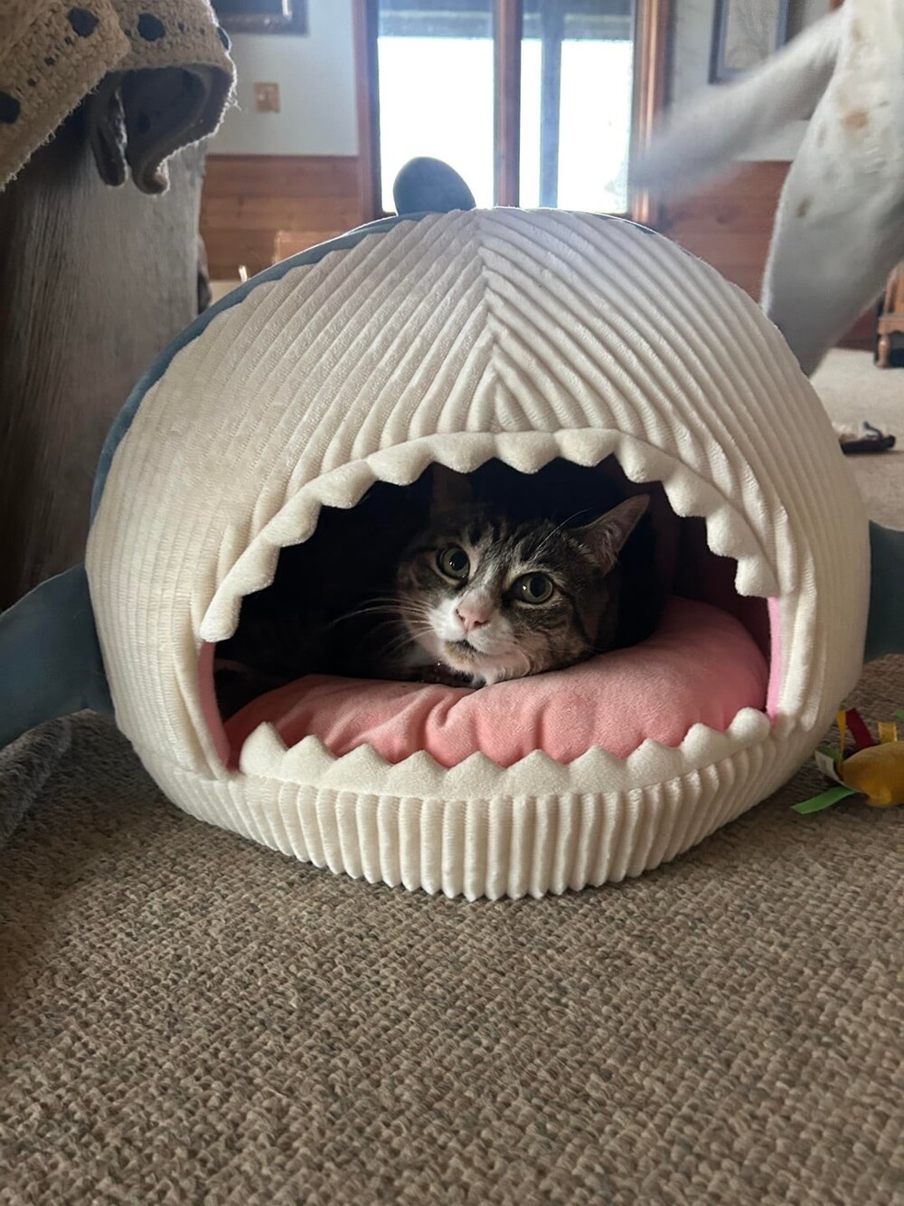 14. Наслаждаться уютом и мечтать