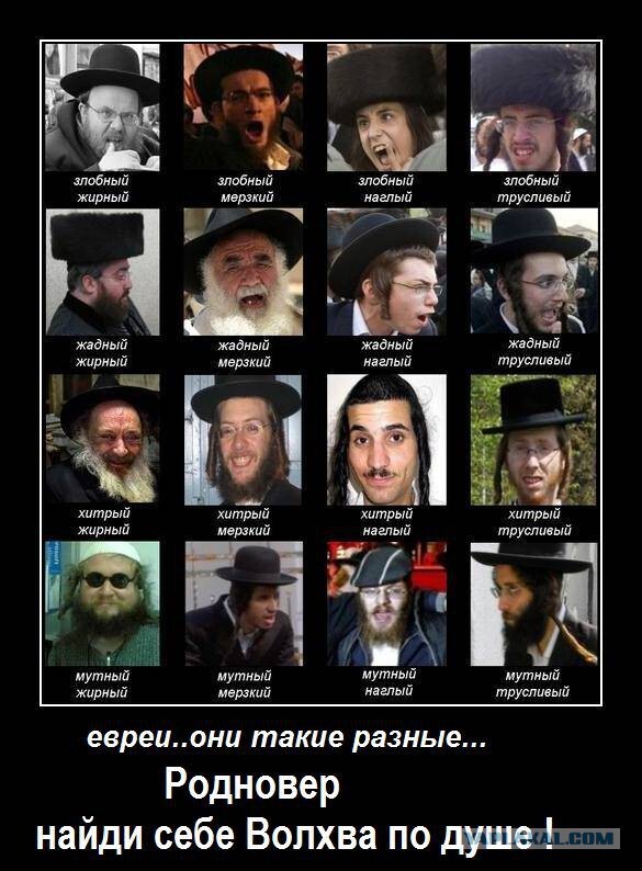 Почему евреи делятся на две группы и чем они так отличаются