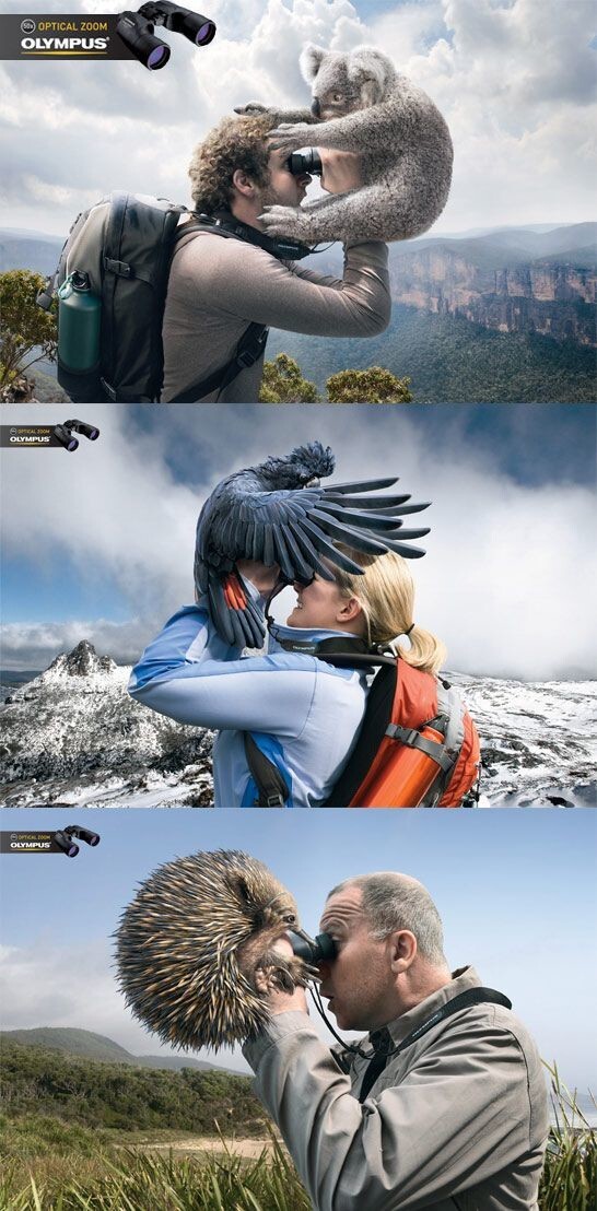 Бинокли Olympus