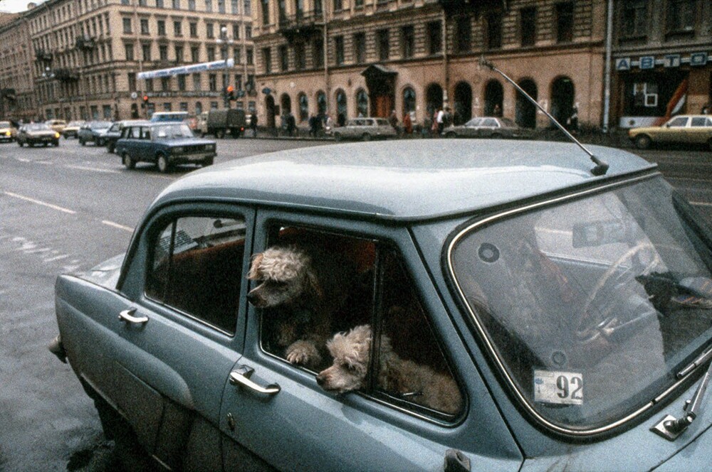 Очень милое фото, сделанное греческим фотографом Димитрисом Цанисом на Невском проспекте.