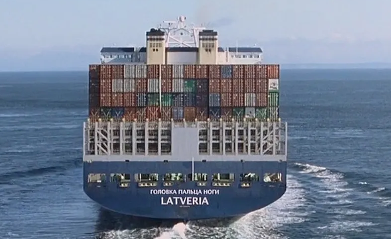 2. Головка пальца ноги