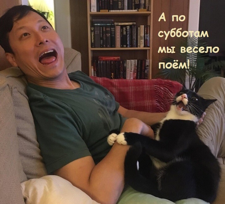 Веселые шутки-картинки