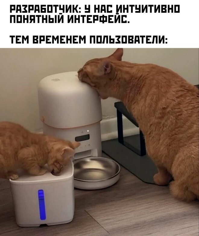 Веселые шутки-картинки