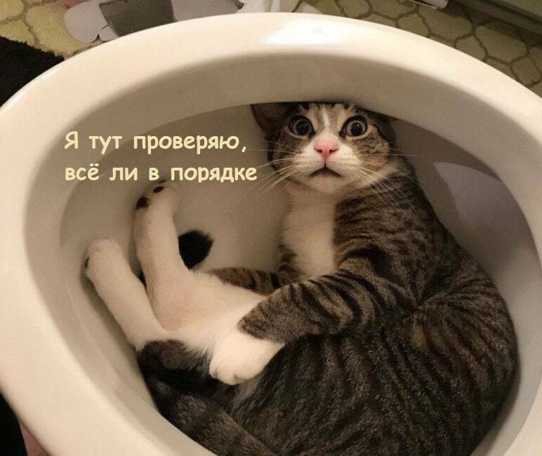 Веселые шутки-картинки