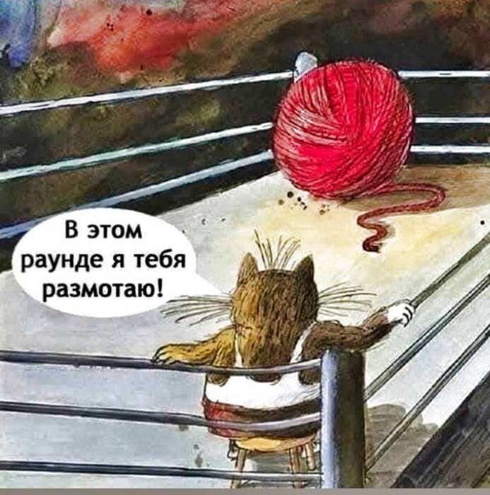 Веселые шутки-картинки