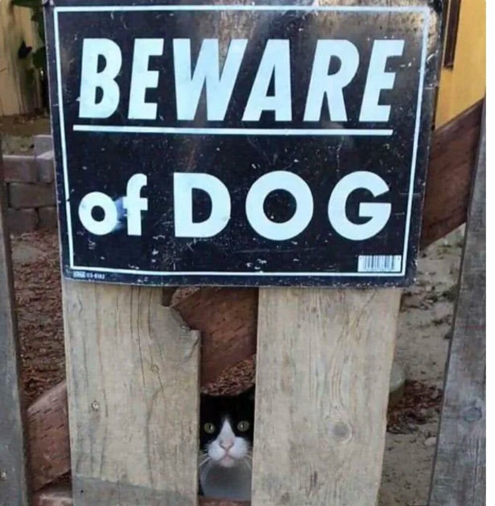 Тебе чего тут надо?