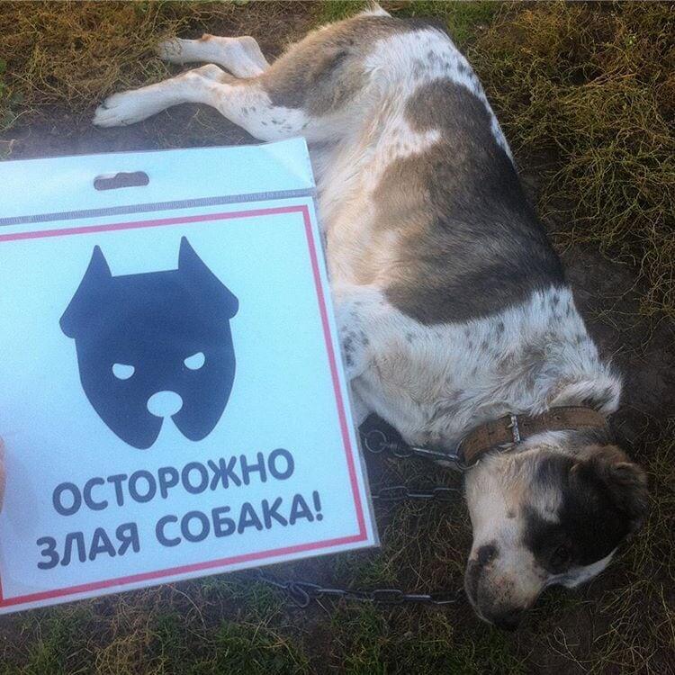 Вроде, сходства имеются…