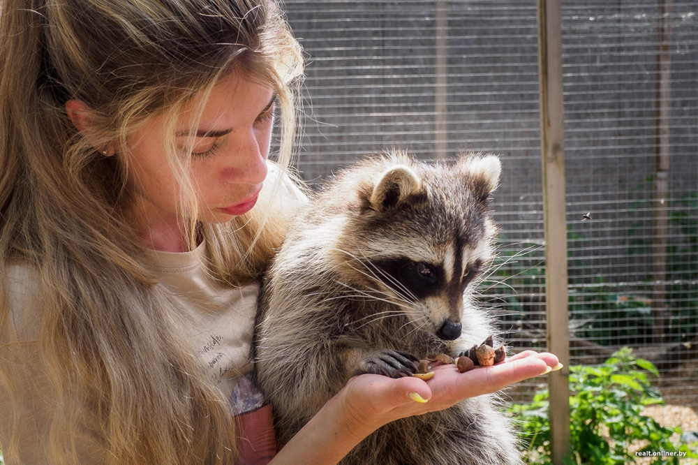 Как нейросети губят животных?